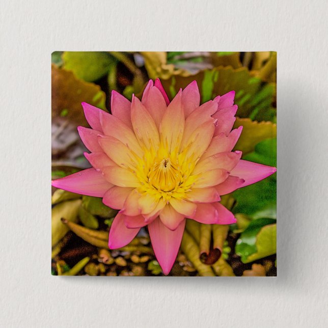Chapa Cuadrada Lotus-Blume (Anverso)