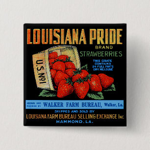 Chapa Cuadrada Luisiana Orgullo Fresas