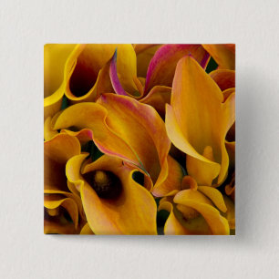 Chapa Cuadrada Luminosas y coloridas lámparas de calila en el