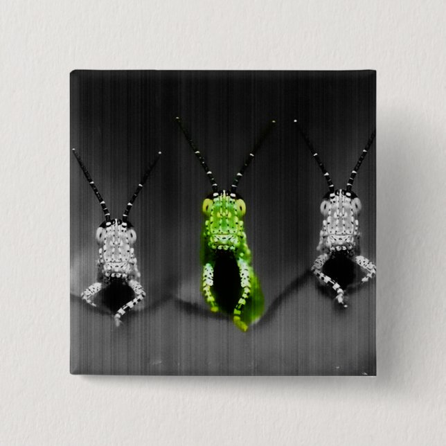Chapa Cuadrada Lumpy Green Bug (Anverso)