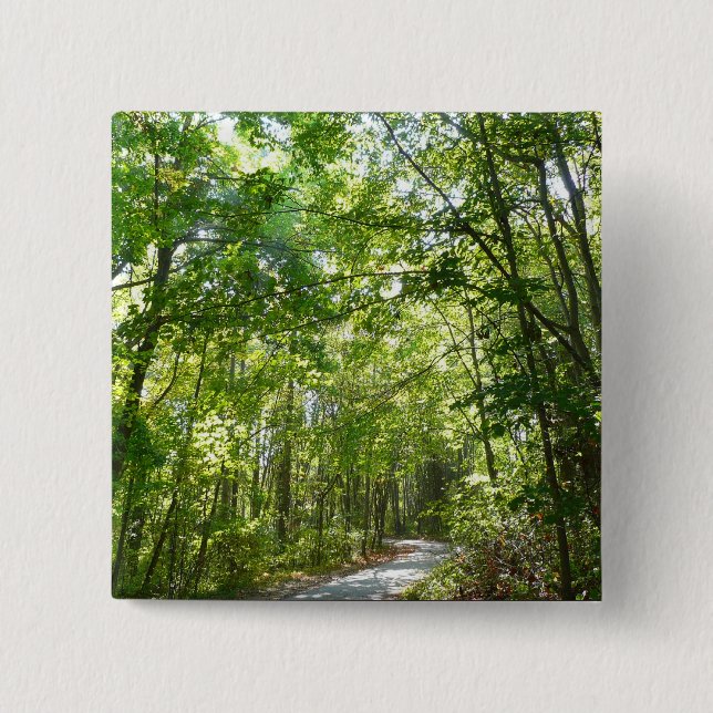 Chapa Cuadrada Luz del sol en ruta de madera en el parque Centenn (Anverso)