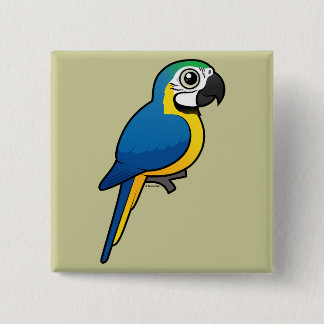 Chapa Cuadrada Macaw Azul-y-amarillo