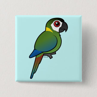 Chapa Cuadrada Macaw De oro-agarrado