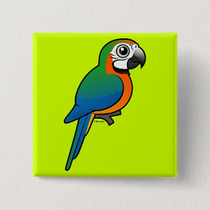 Chapa Cuadrada Macaw del Harlequin