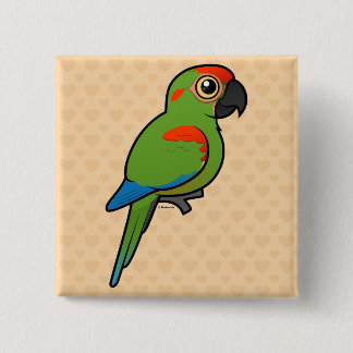 Chapa Cuadrada Macaw Rojo-afrontado