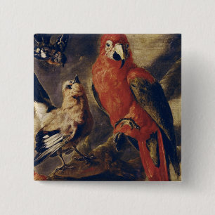 Chapa Cuadrada Macaw y Bullfinch