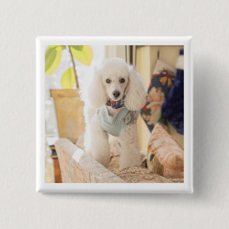 Chapa Cuadrada Maddie