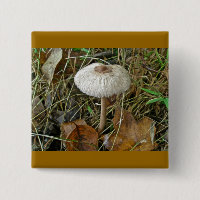 Magnate de hongos de Parasol blanco