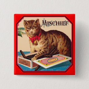 Chapa Cuadrada Malversación del gato - anuncio vintage