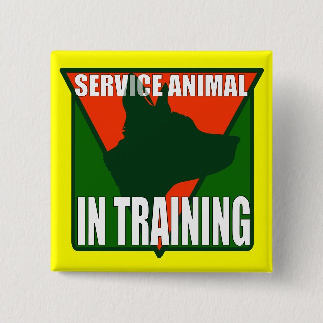 CHAPA CUADRADA MANTENGA EL ENTRENAMIENTO ANIMAL (Anverso)