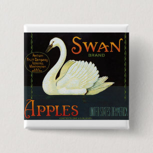 Chapa Cuadrada Manzanas de marca de Swan