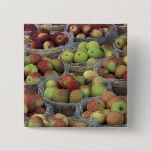 Chapa Cuadrada Manzanas Macintosh del estado de Nueva York en ces