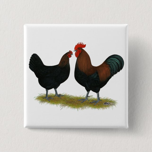 Chapa Cuadrada Marans Black Copper (Anverso)