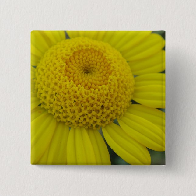 Chapa Cuadrada marguerita amarillo bonito (Anverso)
