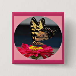 Chapa Cuadrada Mariposa