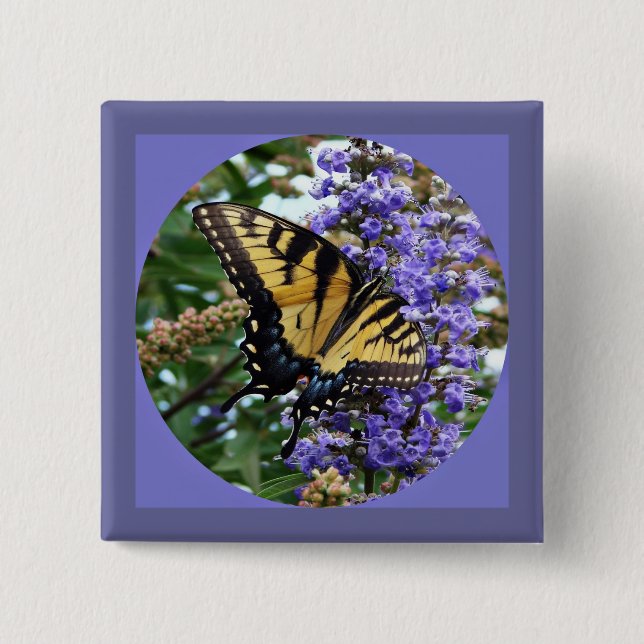 Chapa Cuadrada Mariposa (Anverso)