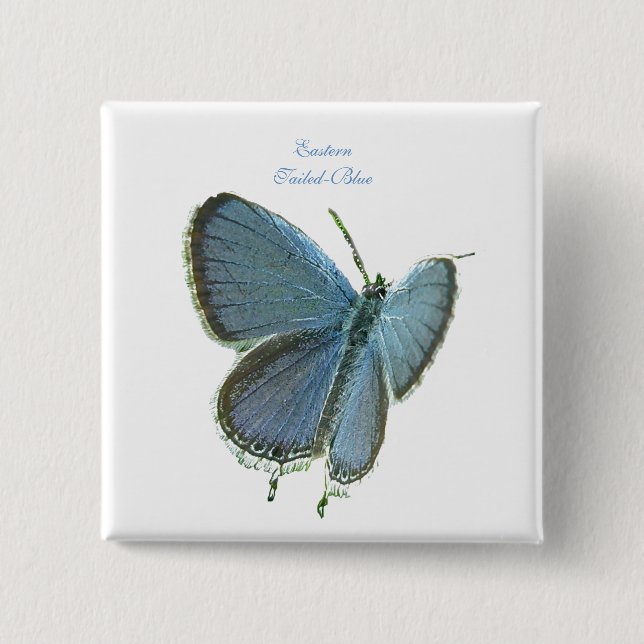 Chapa Cuadrada Mariposa azul de cola oriental (Anverso)