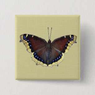 Chapa Cuadrada Mariposa de capa de luto - Antiopa ninfalis