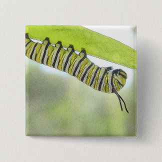 Chapa Cuadrada Mariposa de monarca Caterpillar que explora un