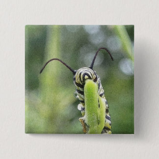Chapa Cuadrada Mariposa de monarca joven caprichosa Caterpillar