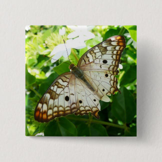 Chapa Cuadrada Mariposa en la fotografía de la naturaleza tropica
