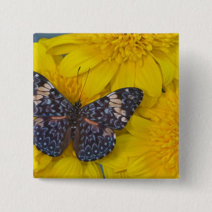 Chapa Cuadrada Mariposa en una Flor Amarilla