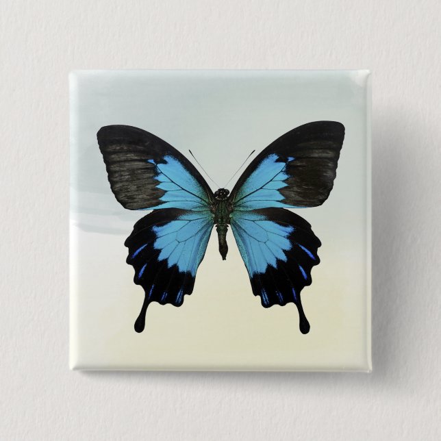 Chapa Cuadrada Mariposa hermosa del negro azul en acuarela (Anverso)