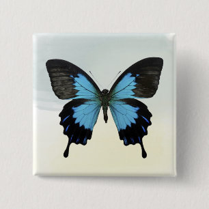 Chapa Cuadrada Mariposa hermosa del negro azul en acuarela