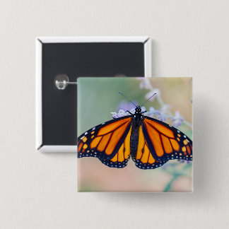 Chapa Cuadrada Mariposa monarca