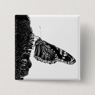 Chapa Cuadrada mariposa tímida blacq