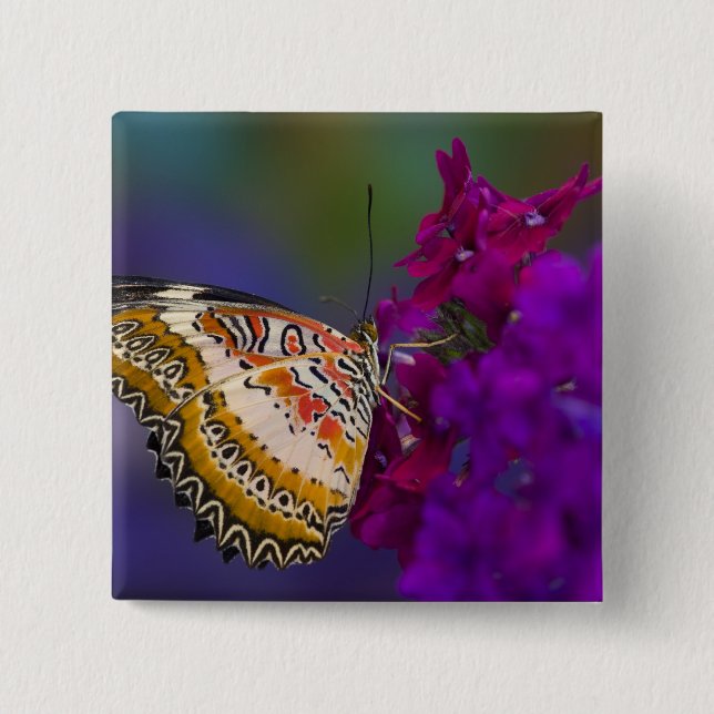 Chapa Cuadrada Mariposa tropical en flores moradas (Anverso)