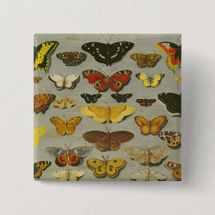 Chapa Cuadrada Mariposas