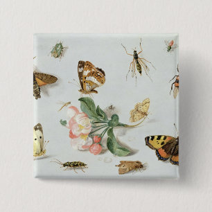 Chapa Cuadrada Mariposas, polillas y otros insectos