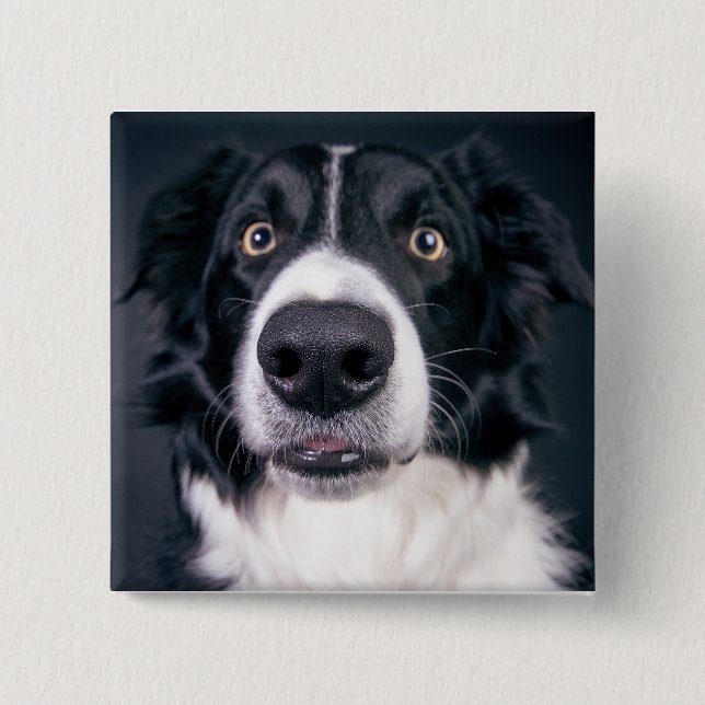 Chapa Cuadrada Mascota de fotografía de perro personalizado (Anverso)