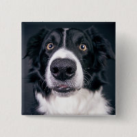 Mascota de fotografía de perro personalizado