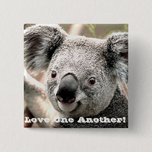 Chapa Cuadrada Me importa.