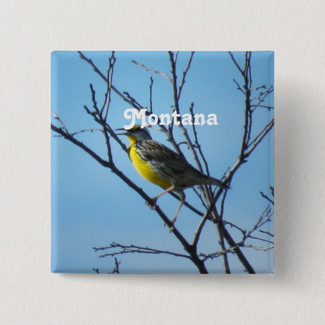 Chapa Cuadrada Meadowlark occidental (Anverso)