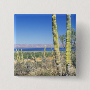 Chapa Cuadrada México, Baja California Sur, Mulege, Bahía