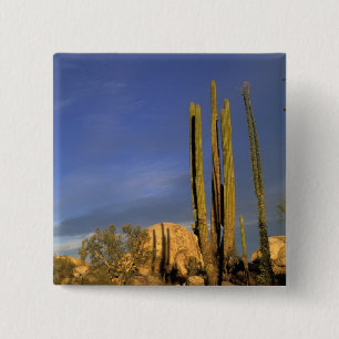 Chapa Cuadrada México, Baja del Norte, Catavina Desert Nacional