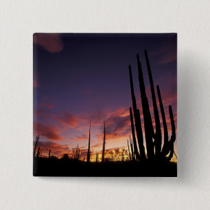 Chapa Cuadrada México, Baja del Norte, Desierto Catavina Nacional