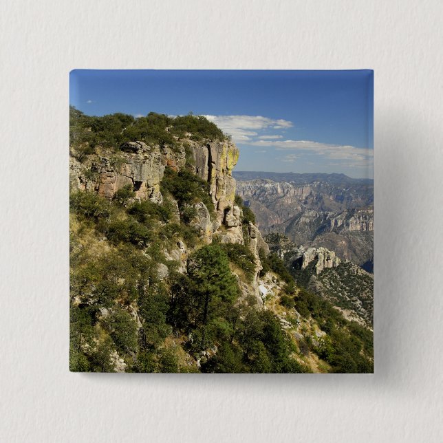 Chapa Cuadrada México, Estado de Chihuahua, Cañón de Cobre. ESTO (Anverso)
