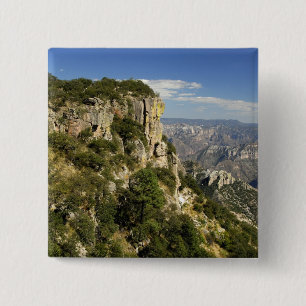 Chapa Cuadrada México, Estado de Chihuahua, Copper Canyon. ESTO