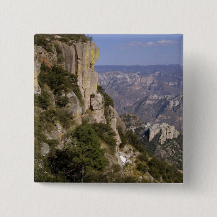 Chapa Cuadrada México, Estado de Chihuahua, Copper Canyon. ESTO 2