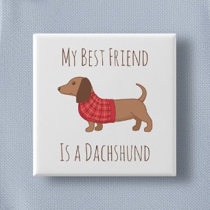 Chapa Cuadrada Mi mejor amigo Dachshund Wiener Dog Red Sweater