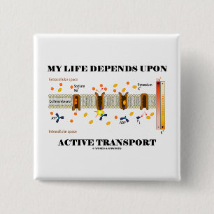 Chapa Cuadrada Mi vida depende del transporte activo (el humor)