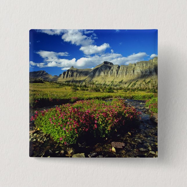 Chapa Cuadrada Mimulus de Logan Pass en Glacier National (Anverso)