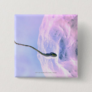 Chapa Cuadrada Mirada magnificada en una esperma que fertiliza un