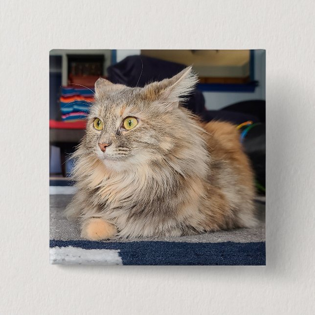 Chapa Cuadrada Moda dominical (Anverso)