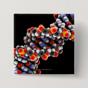 Chapa Cuadrada MOLÉCULA de ADN. Modelo molecular de ADN