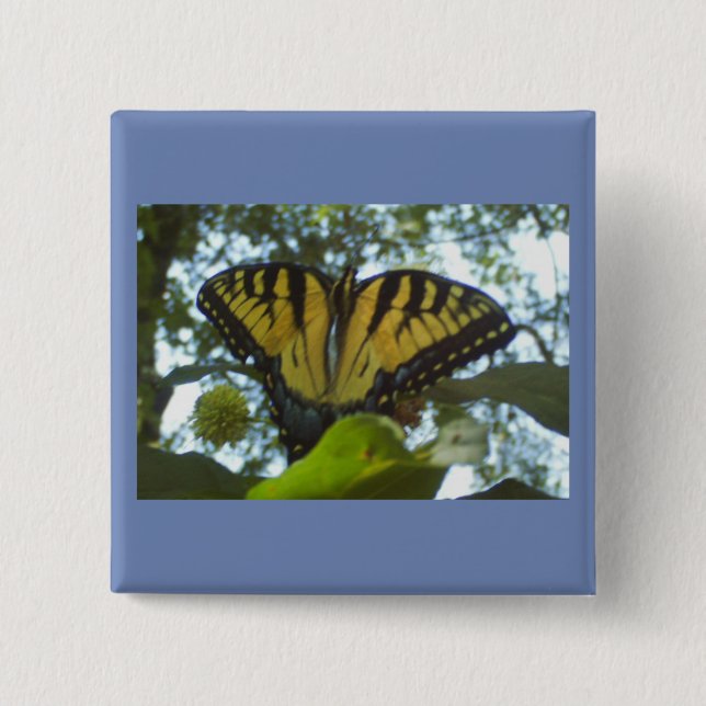 Chapa Cuadrada Monarca amarillo soleado (Anverso)